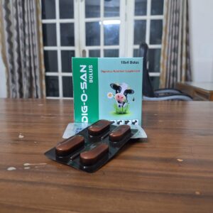 Digr-O-San Bolus – Digestive Nutrition Supplement for Cattle